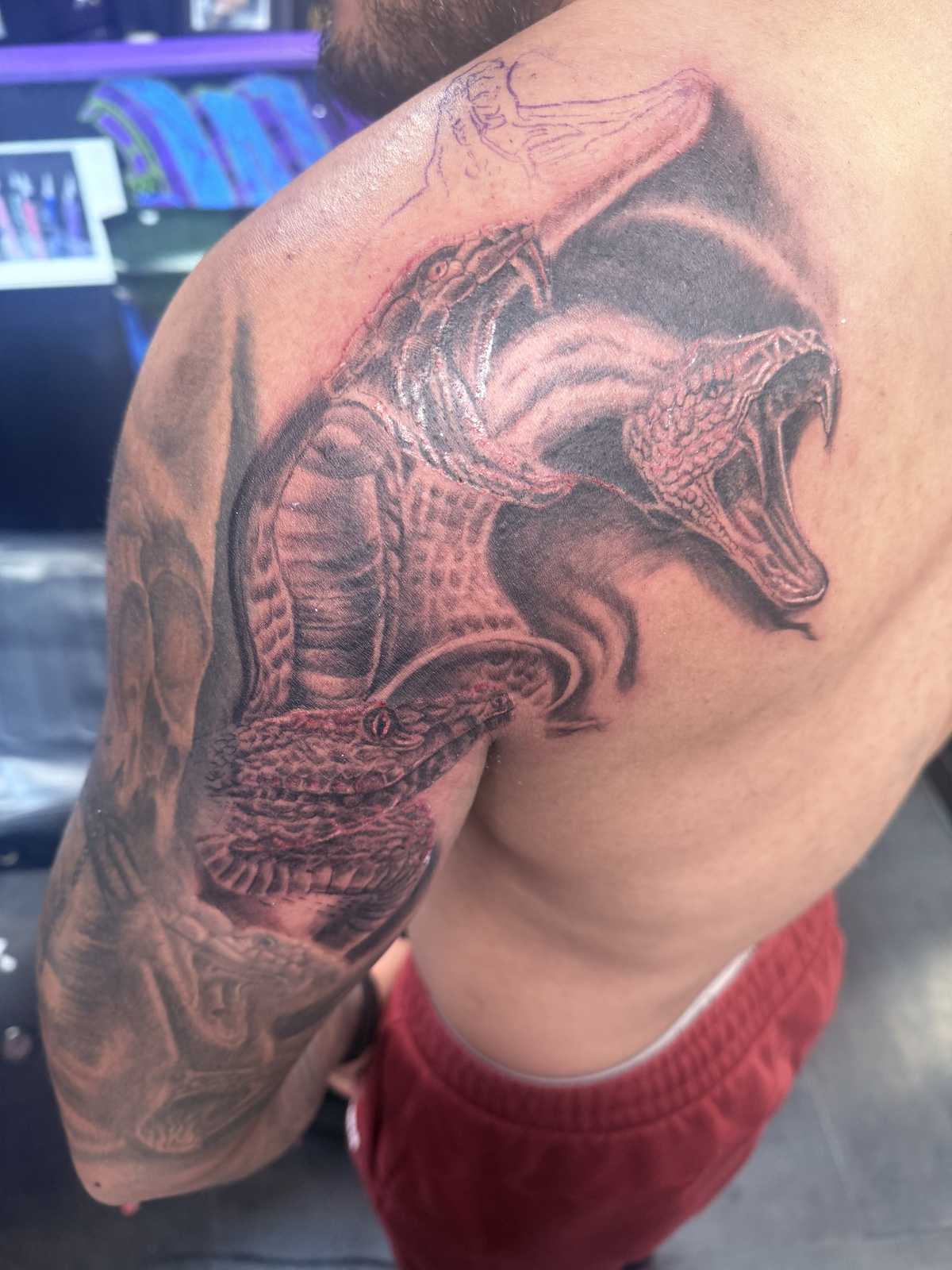 Black and grey realism snake sleeve tattoo Las Vegas — Cover-Up Tattoos in Vegas at Work of Art Tattoo & Piercing, Las Vegas