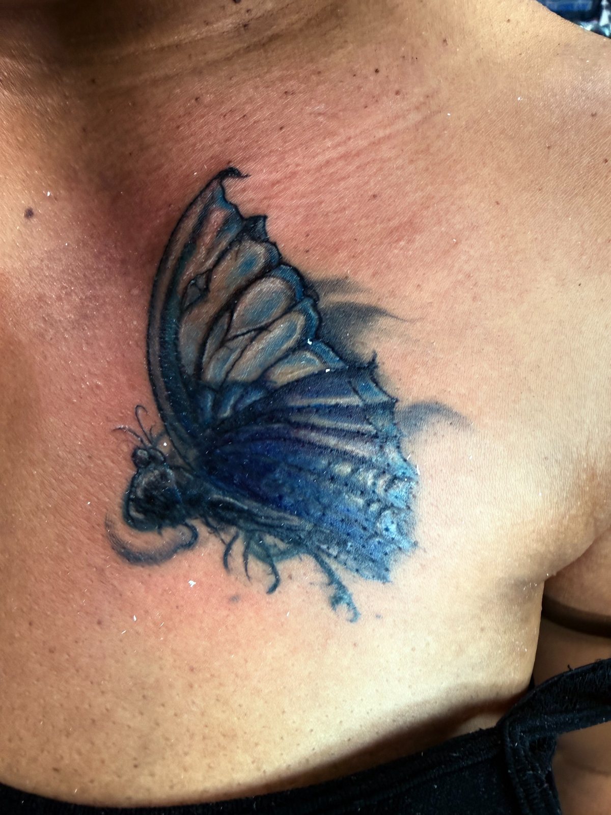 Blue butterfly color tattoo rework by Joshua Cole