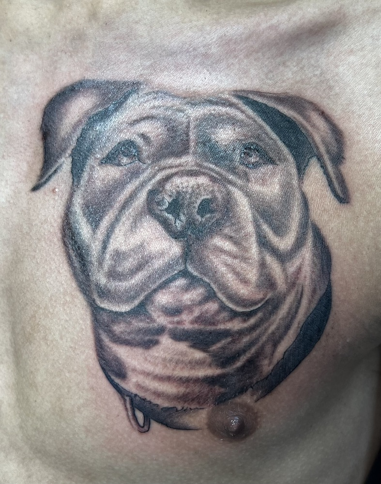 Fresh dog portrait chest realism tattoo by Joshua Cole, Las Vegas, Work of Art Tattoo & Piercing, Las Vegas