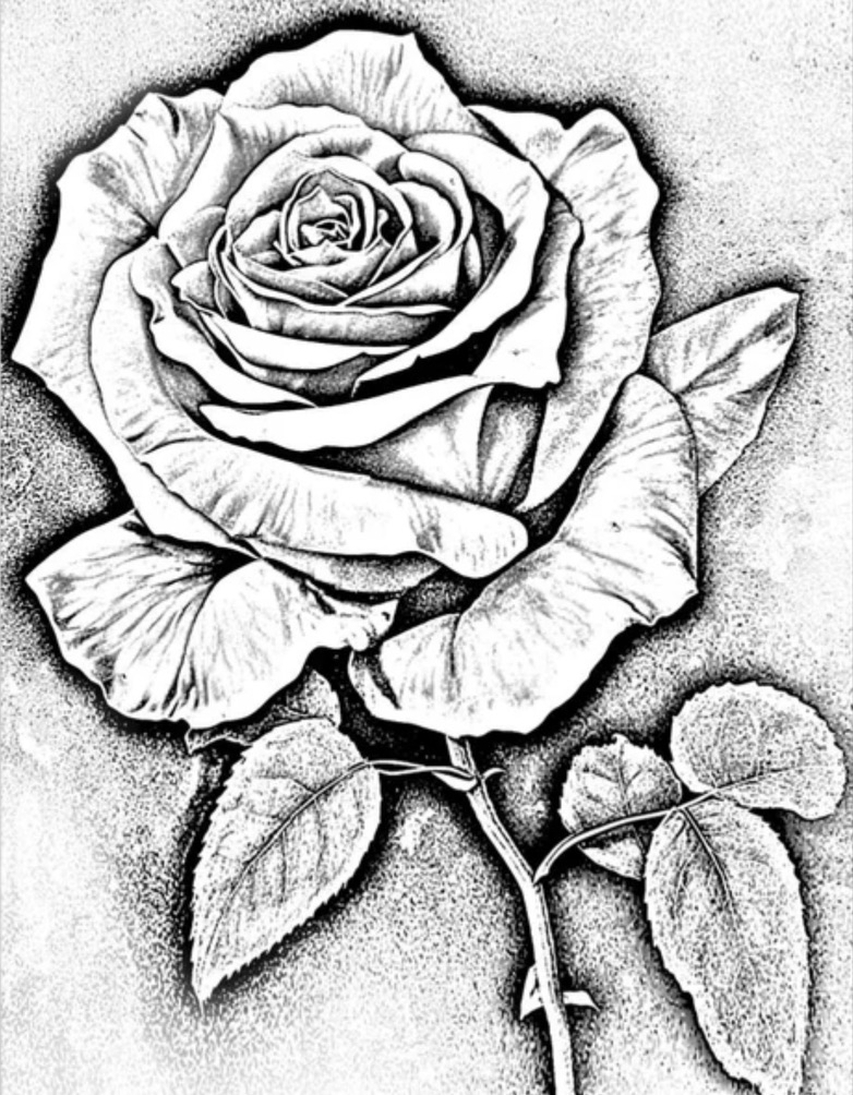 Detailed stipple-shaded blooming rose with thorned stem, black-grey tattoo flash — Joshua Cole…, Work of Art Tattoo & Piercing, Las Vegas