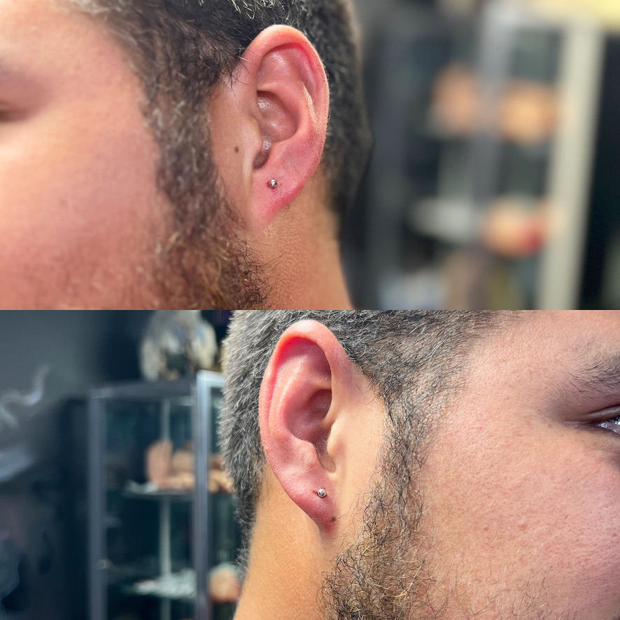 Fresh silver ball studs in both earlobes on bearded man, shown in paired profile shots — Joshua…, Work of Art Tattoo & Piercing, Las Vegas